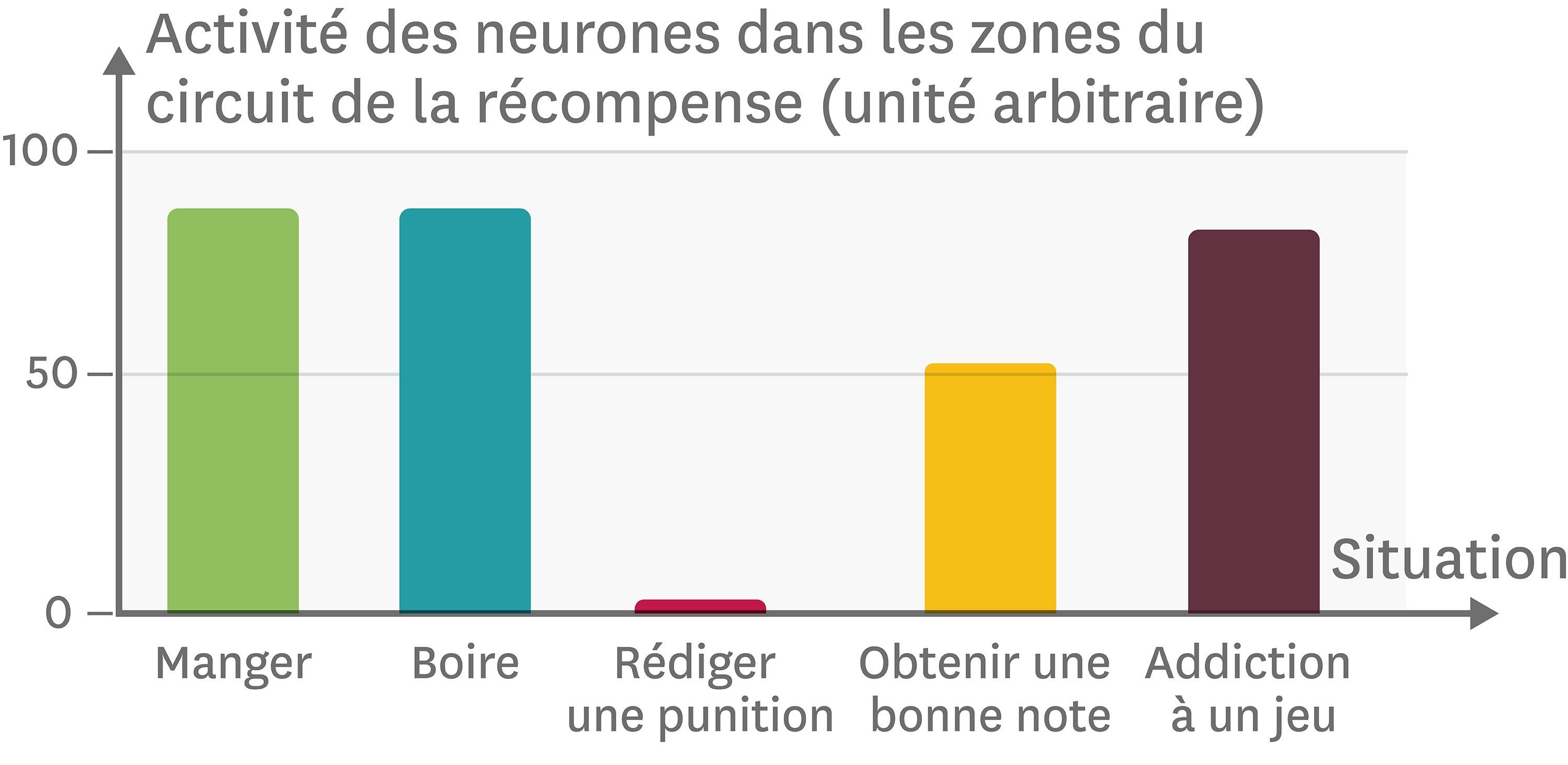 Quels sont les effets de nos comportements sur le système nerveux