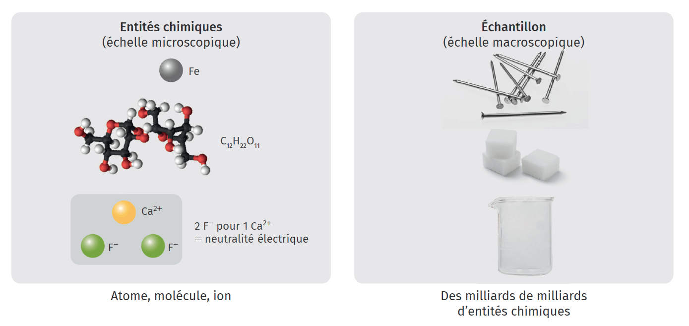 Bilan Lelivrescolaire Fr