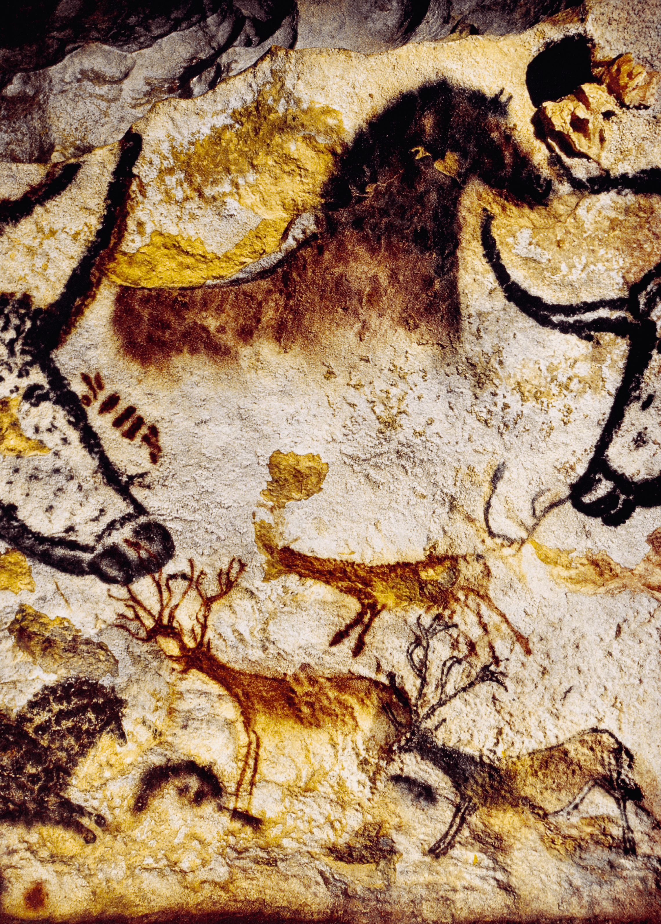 Peintures rupestres dans les grottes de Lascaux datant du Paléolithique supérieur