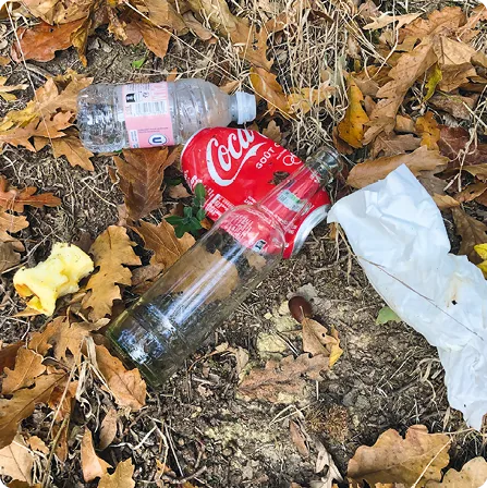 Déchets sur feuilles mortes : bouteille plastique, canette rouge et papier.