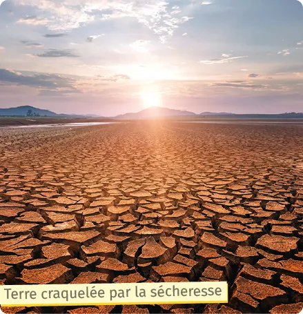 Terre craquelée