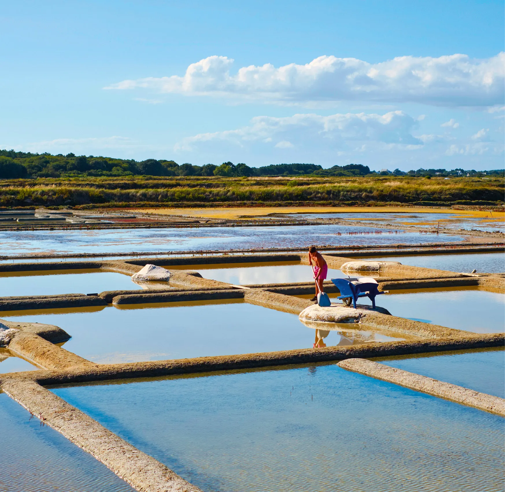 L'eau de mer est un mélange d'eau et de sel. Dans les marais salants, sous l'effet de l'énergie provenant du Soleil et du vent, l'eau s'évapore, laissant apparaître le sel. 