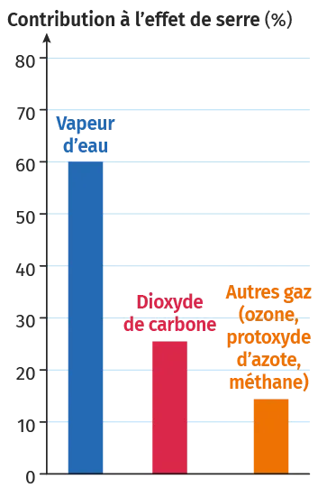 Graphique: vapeur d'eau domine l'effet de serre, suivi par CO2 et autres gaz.