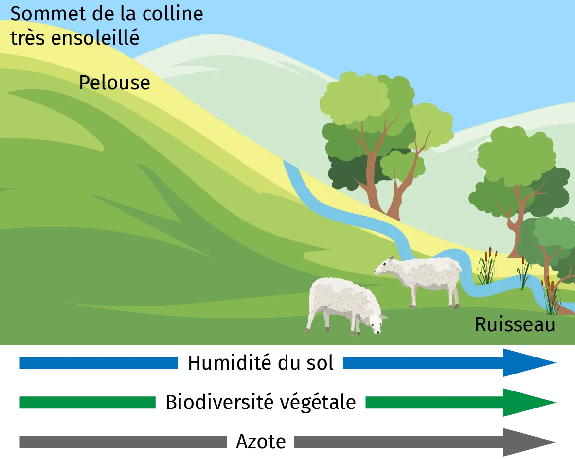 une colline