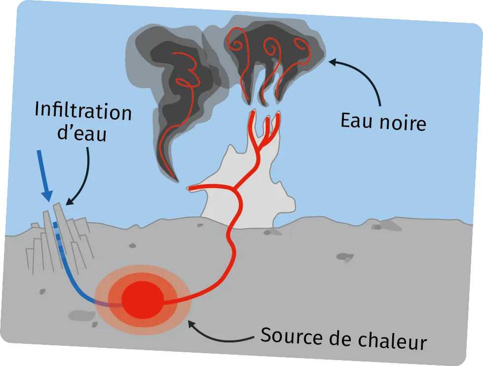 Schéma de la formation de 