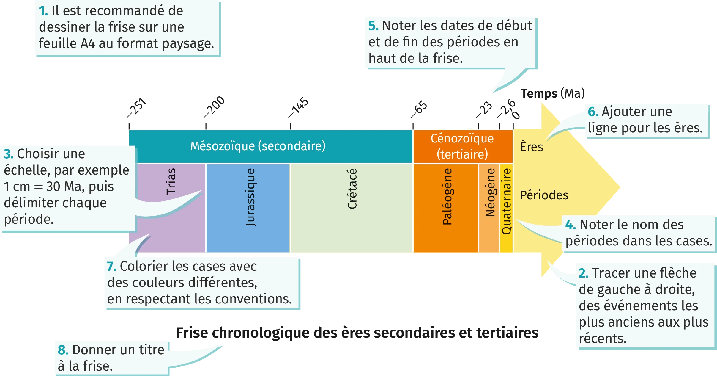 Les grandes crises biologiques | Lelivrescolaire.fr