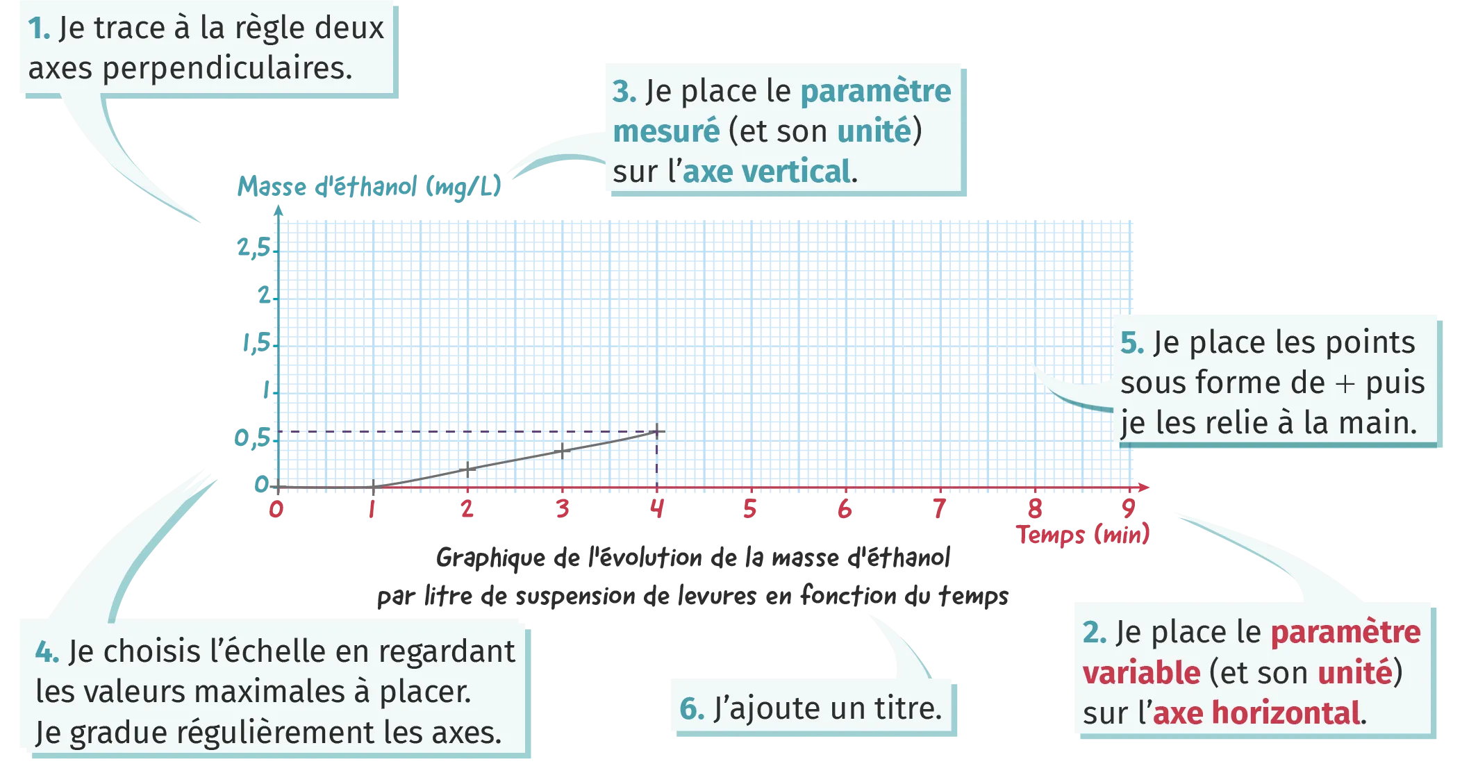 Graphique de l'évolution de la masse d'éthanol