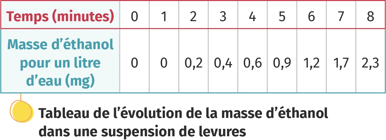 tableau de l'évolution de la masse d'éthanol