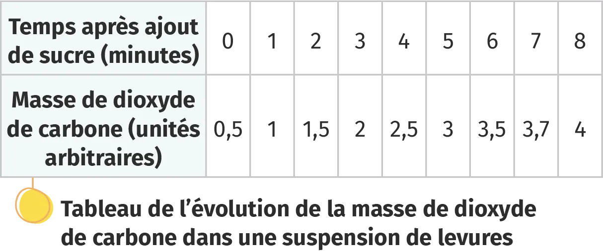 Tableau de l'évolution de la masse de dioxyde de carbone dans une suspension de levures