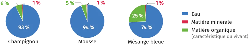 3 camemberts: Champignon 93% eau, Mousse 94% eau, Mésange 74% eau. Reste: matières minérale/organique.