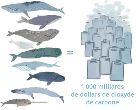 Des baleines et des piles de billets équivalent à 1000 milliards de CO2.