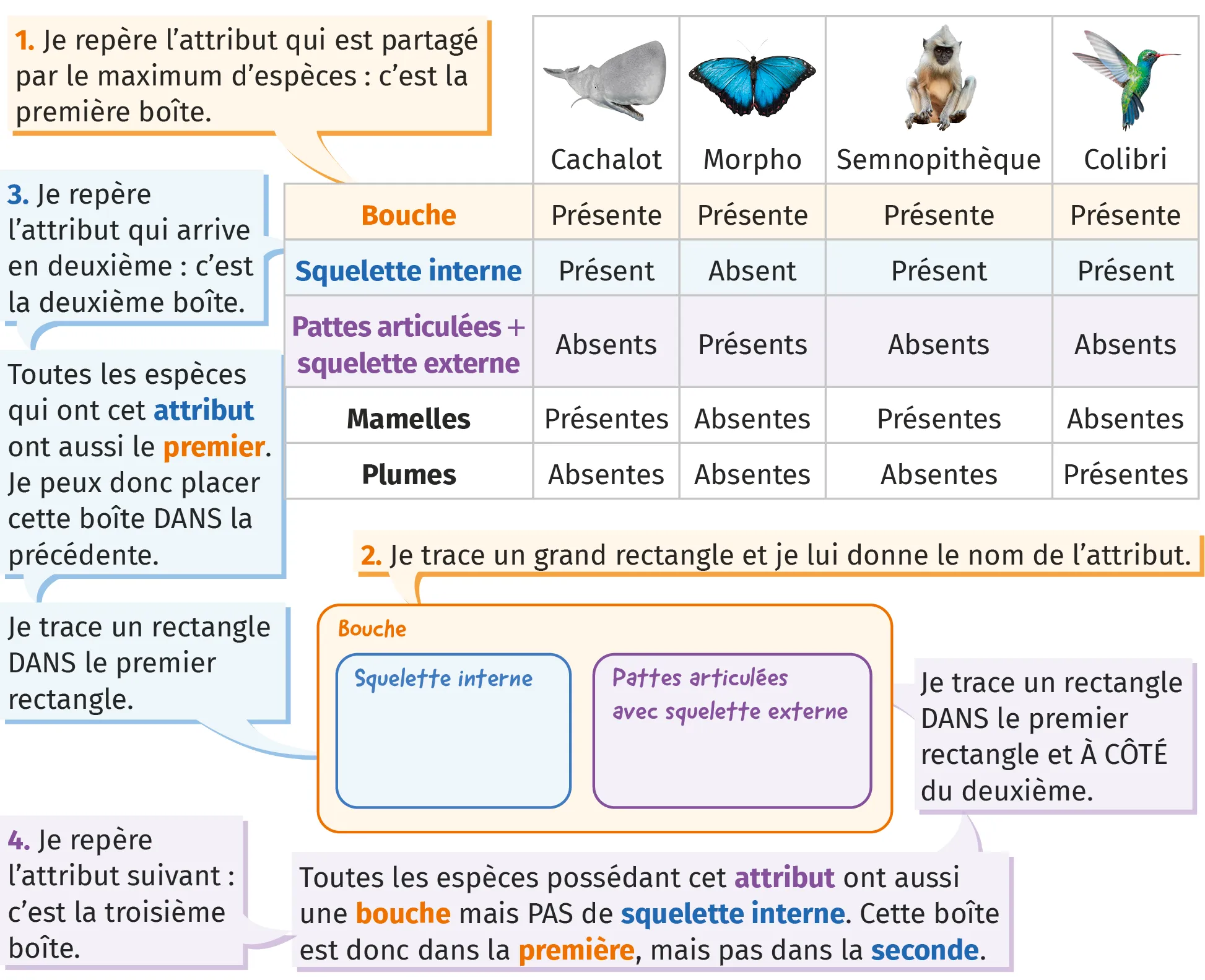 Tableau d'attributs