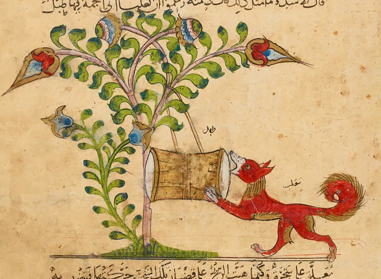 Enluminure du livre Kalila wa Dimna : un renard rouge tente de manger le contenu d'un tambour accroché à un arbre stylisé. Bibliothèque nationale de France.