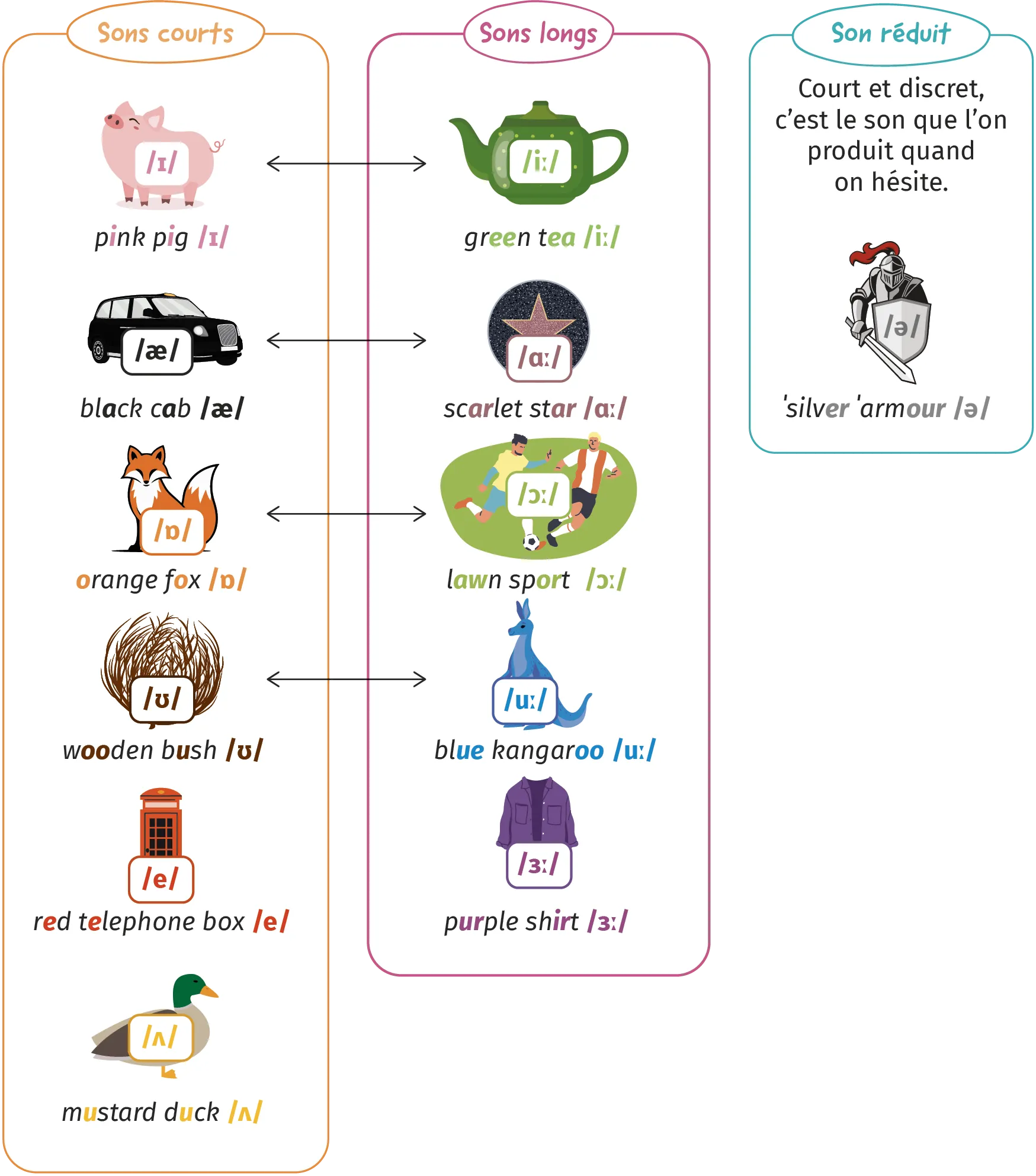 Illustration de sons courts et longs en anglais