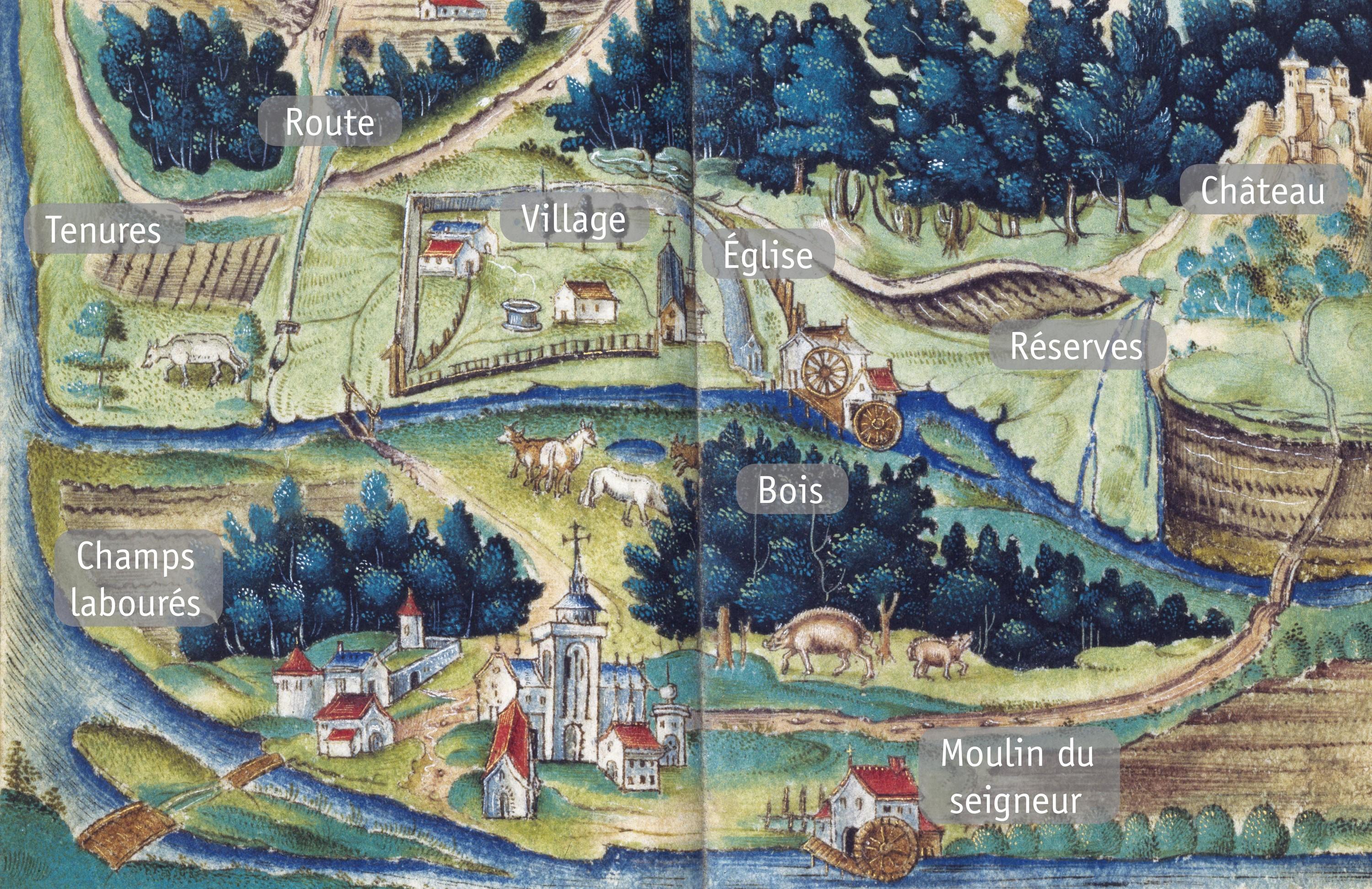 parcours-de-comp-tence-lelivrescolaire-fr