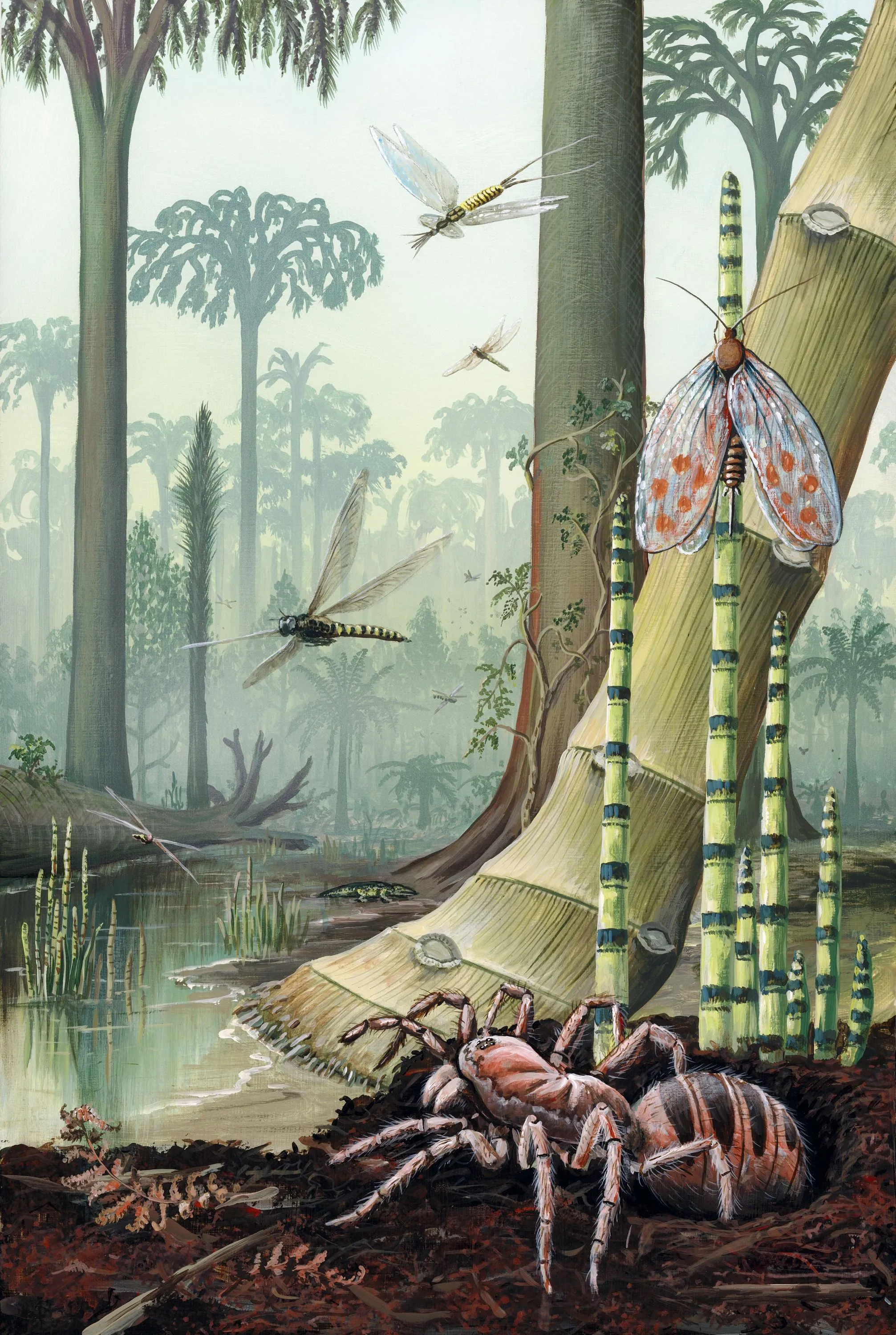 Un paysage de forêt tropicale humide reconstitué d'après les fossiles retrouvés.