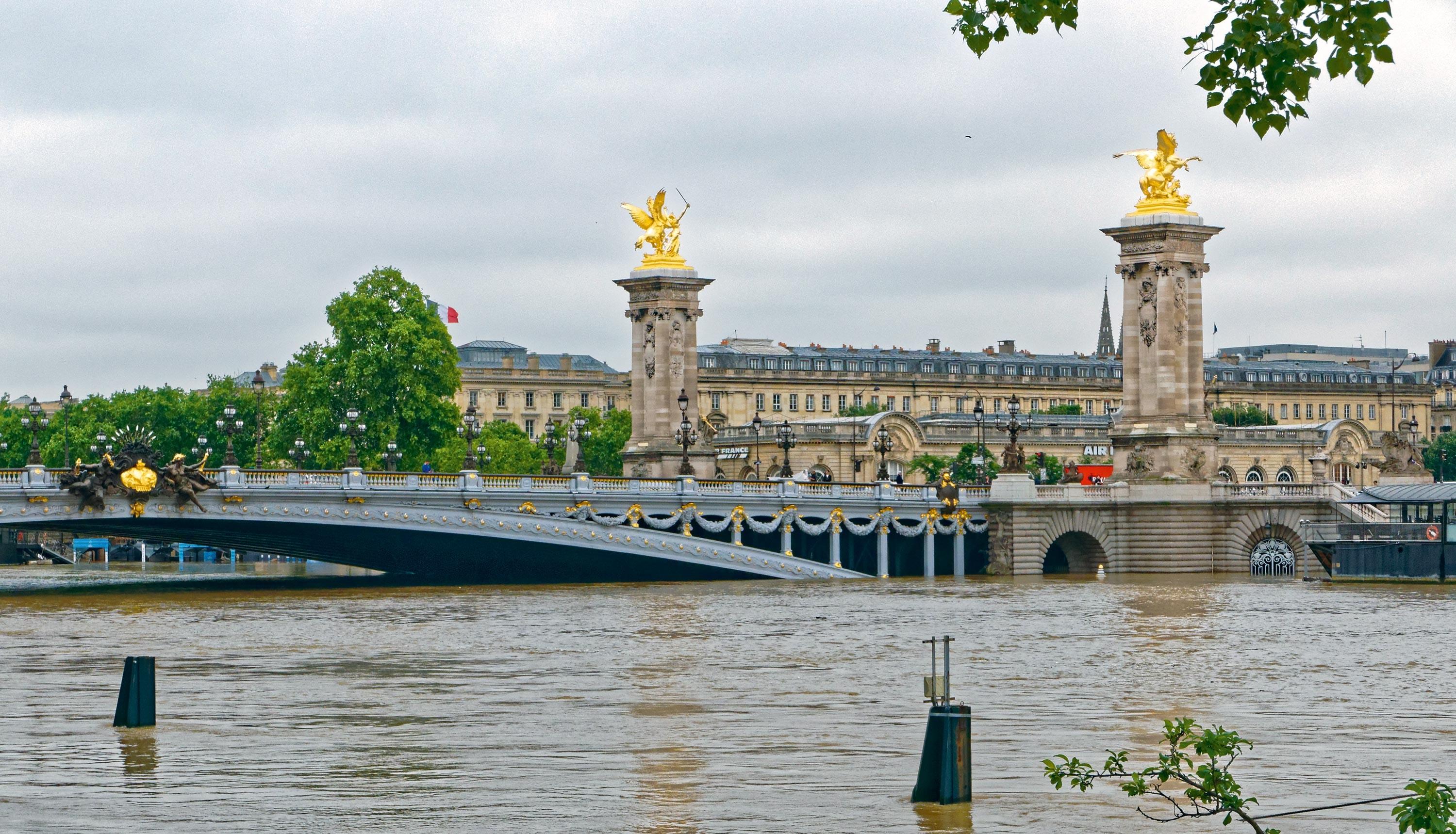 <stamp theme='svt-green1'>Doc. 1</stamp> La Seine en crue sous le pont Alexandre III.