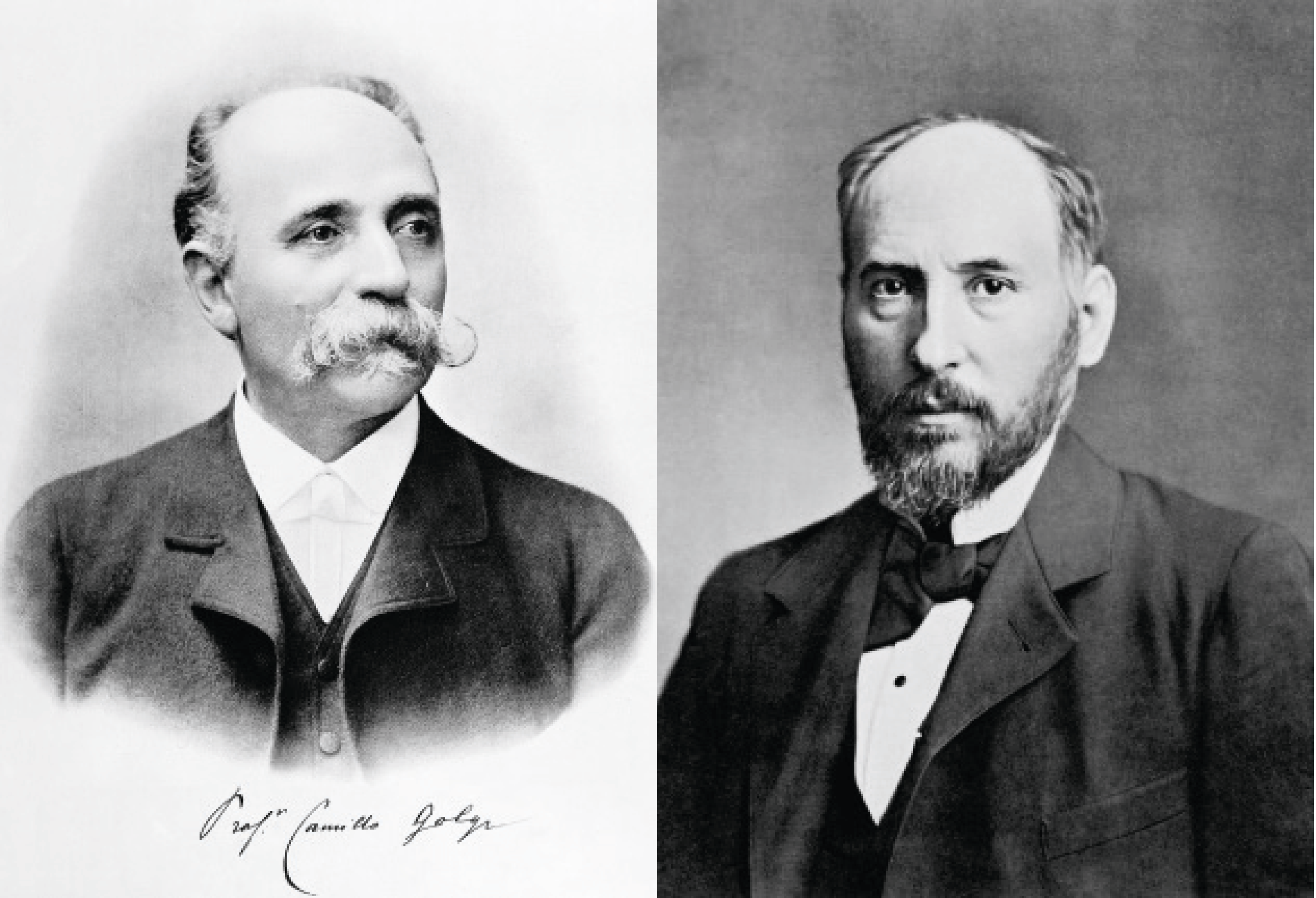 <stamp theme='svt-green1'>Doc. 1</stamp> Camillo Golgi (à gauche) et Ramón y Cajal (à droite).