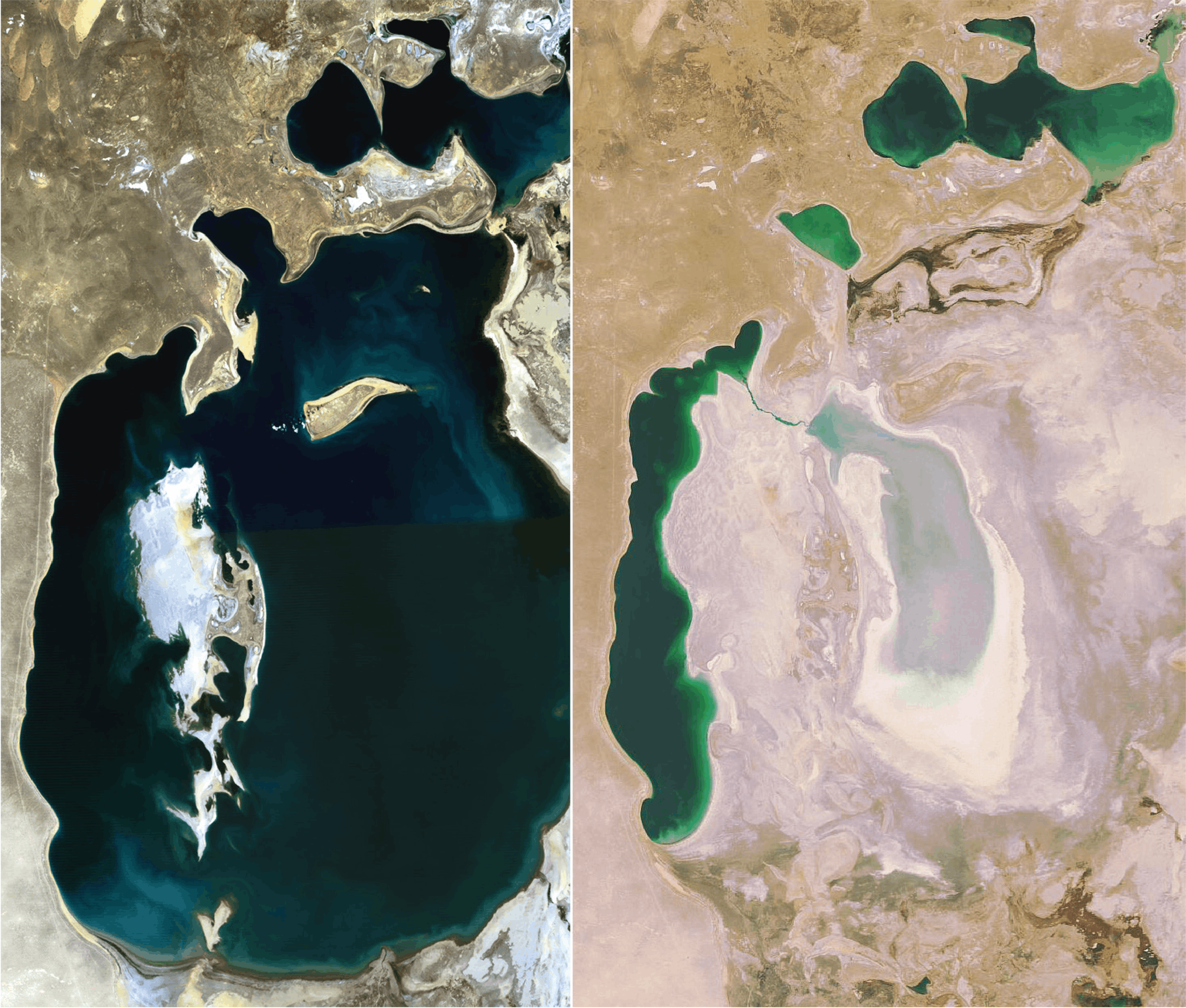 <stamp theme='svt-green1'>Doc. 2</stamp> Des images satellite de la Mer d’Aral en 1989 et 2008. 