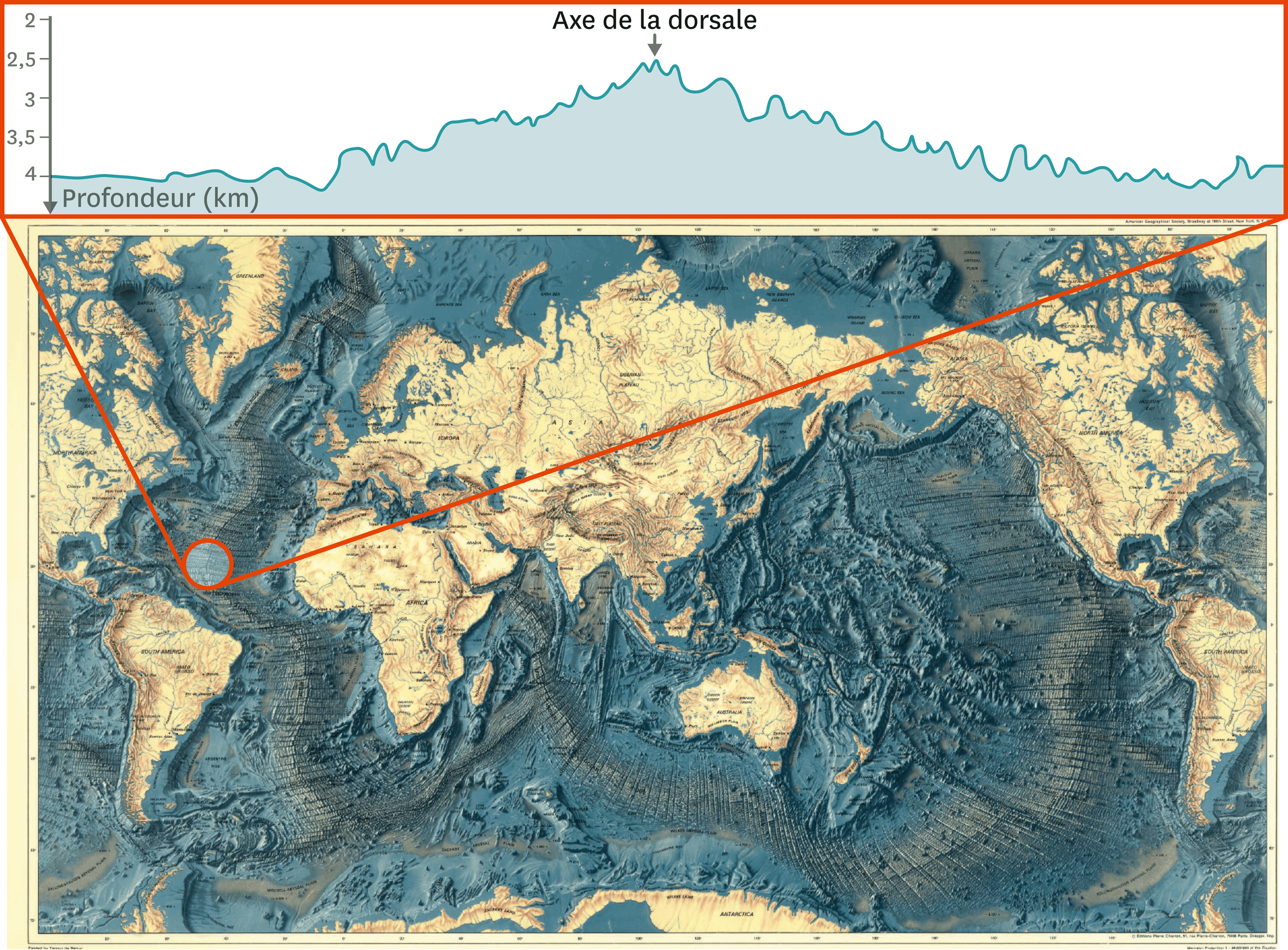 <stamp theme='svt-green1'>Doc. 4</stamp> La carte des reliefs des fonds marins et une coupe au niveau de la dorsale Atlantique Nord.