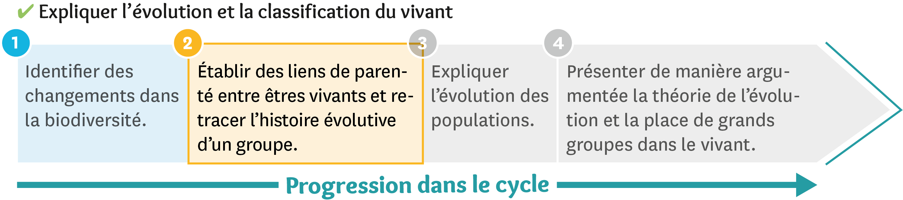 Les liens de parenté entre les êtres vivants Lelivrescolaire fr