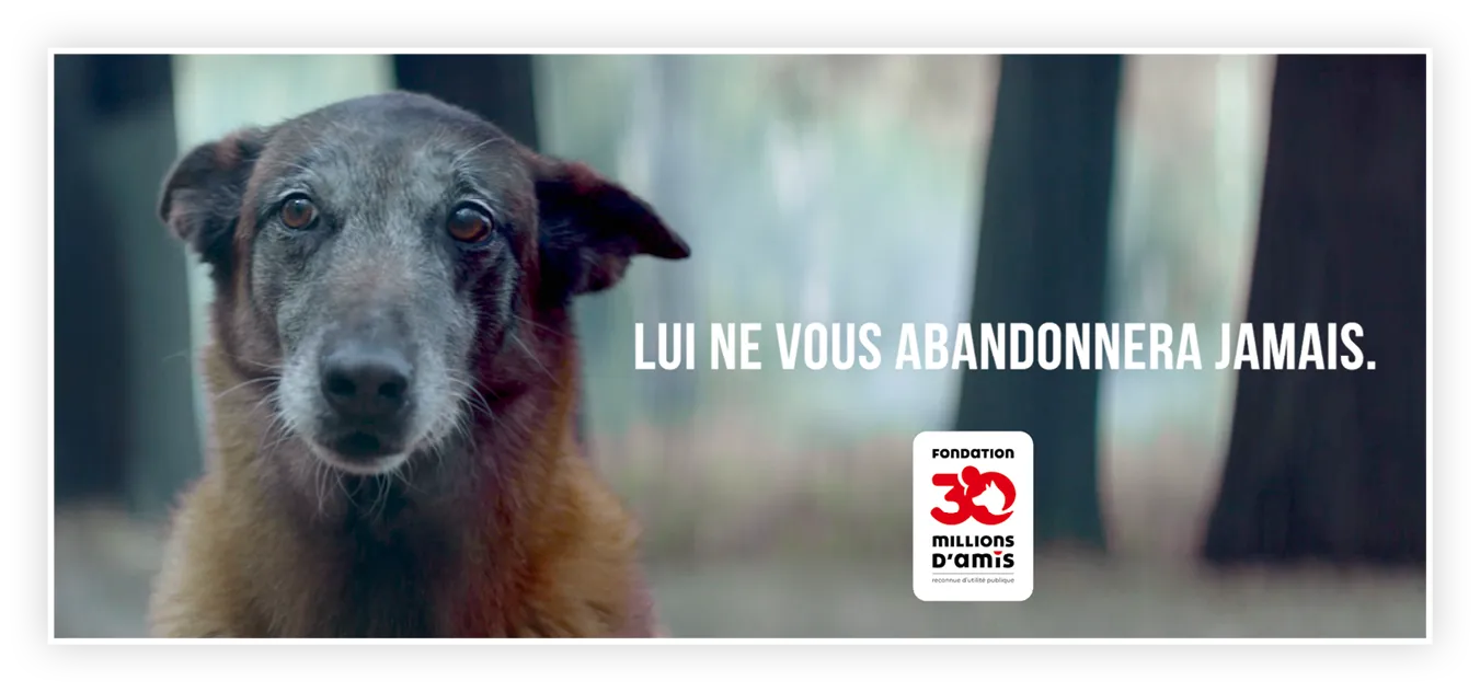 LUI NE VOUS ABANDONNERA JAMAIS. Photogramme issu d'une campagne de sensibilisation par la Fondation 30 Millions d'Amis, reconnue d'utilité publique, 2016.