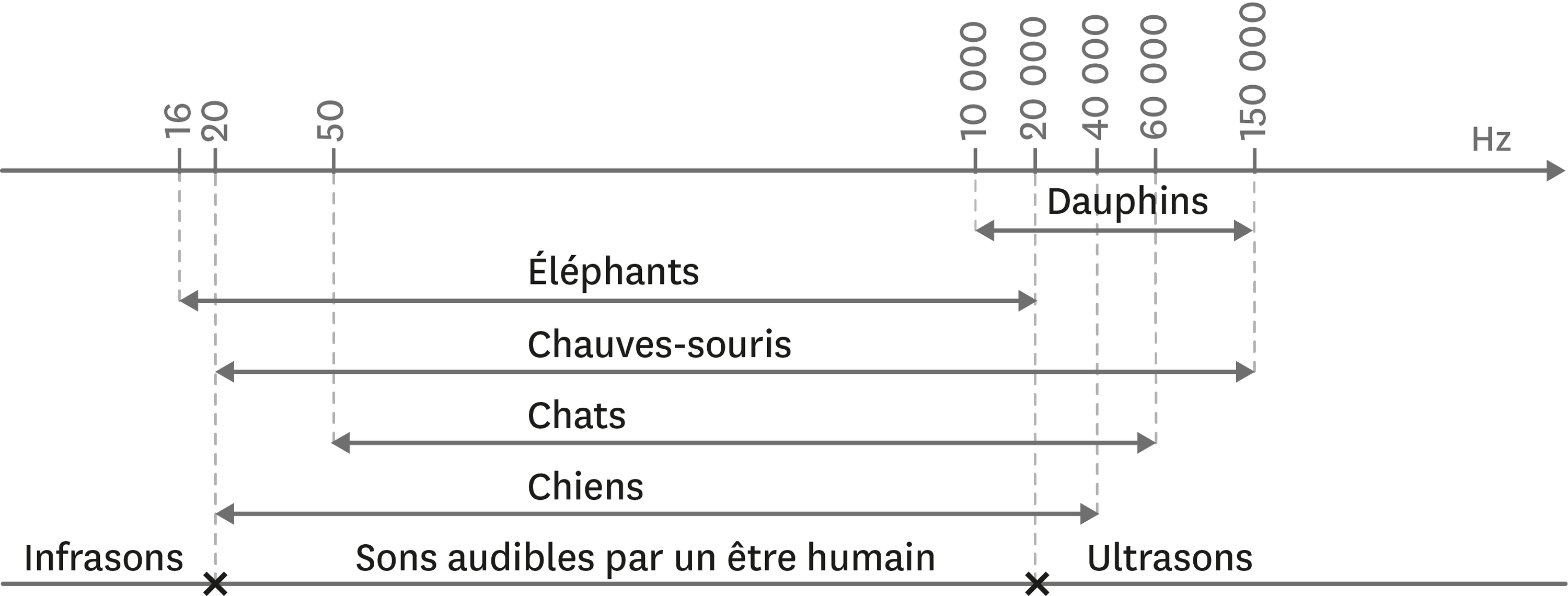 Domaines des sons audibles pour certaines espèces animales.