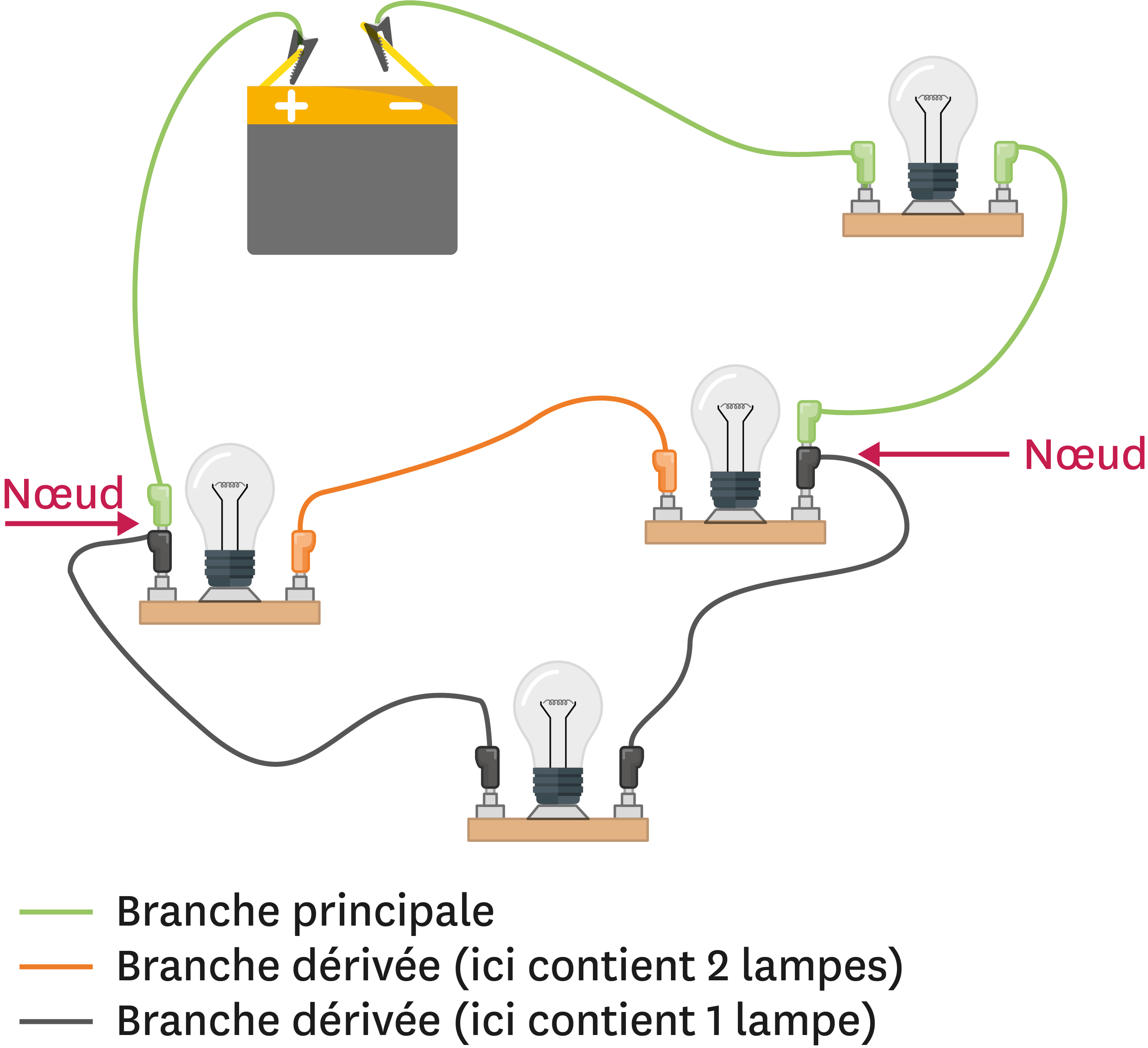 <stamp theme='pc-green1'>Doc. 2</stamp> Les branches dans un circuit électrique.