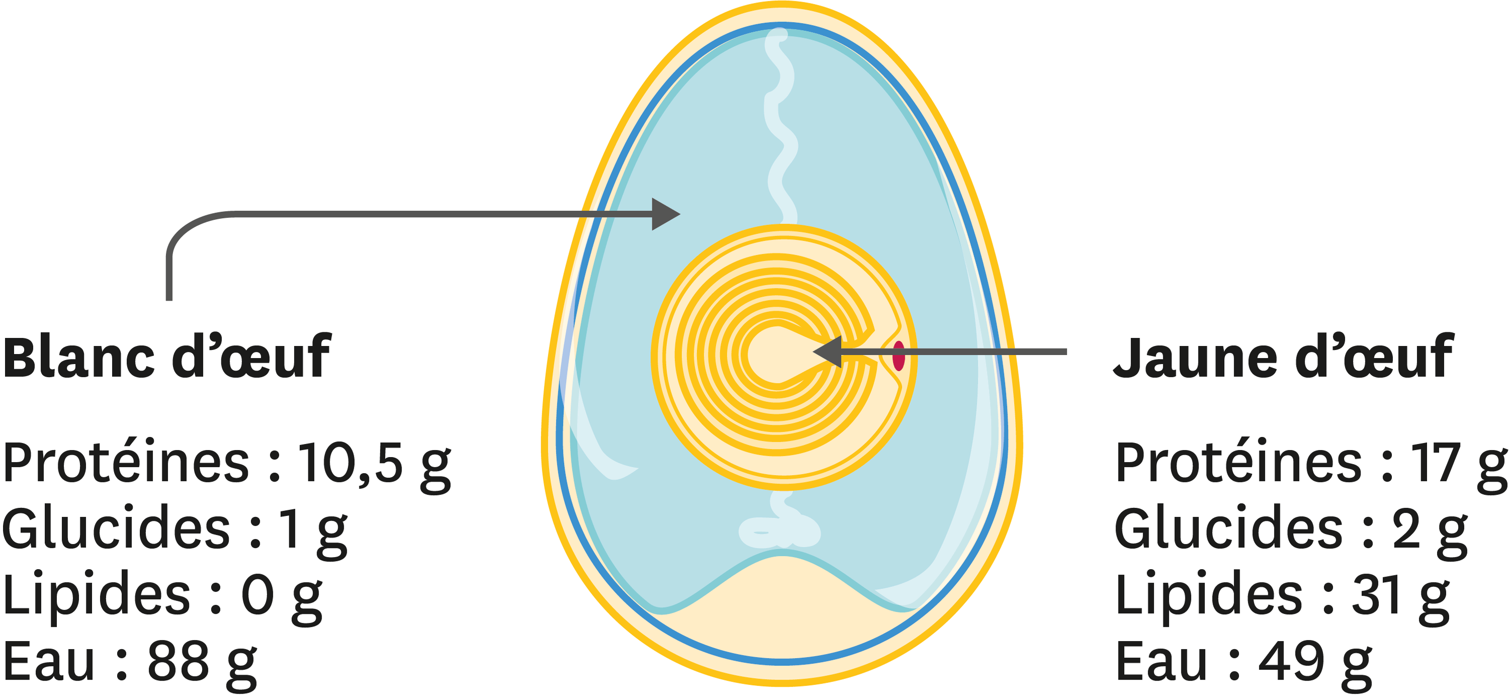 bac chimie de la mayonnaise