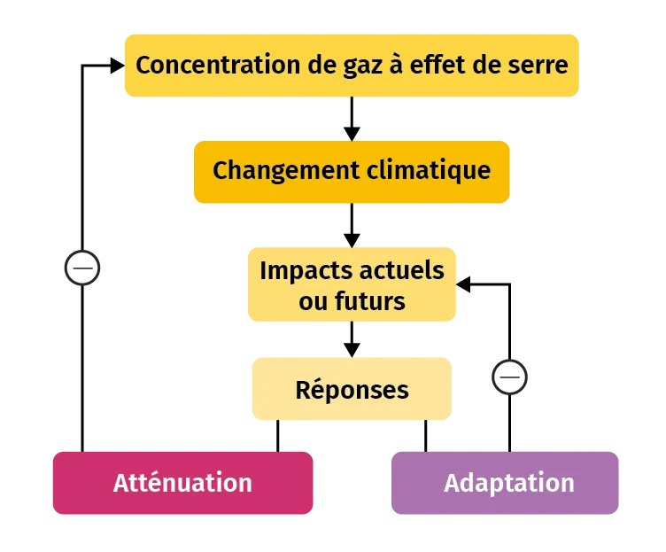 Schéma expliquant les liens entre adaptations et atténuations face au réchauffement climatique