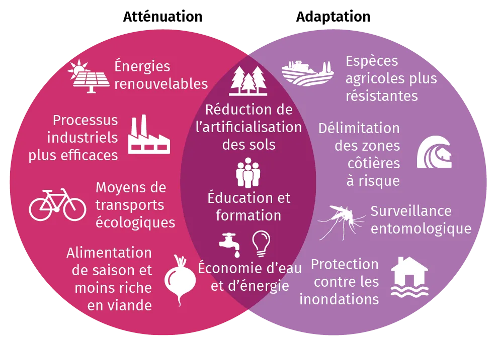 Schéma représentant quelques exemples d'atténuation et d'adaptation
face au réchauffement climatique