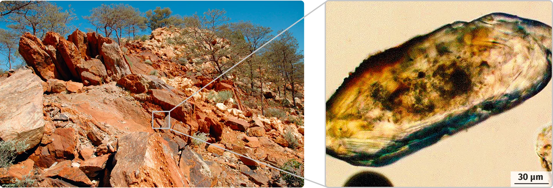 Roches de Jack Hills et détail d'un zircon observé au microscope optique