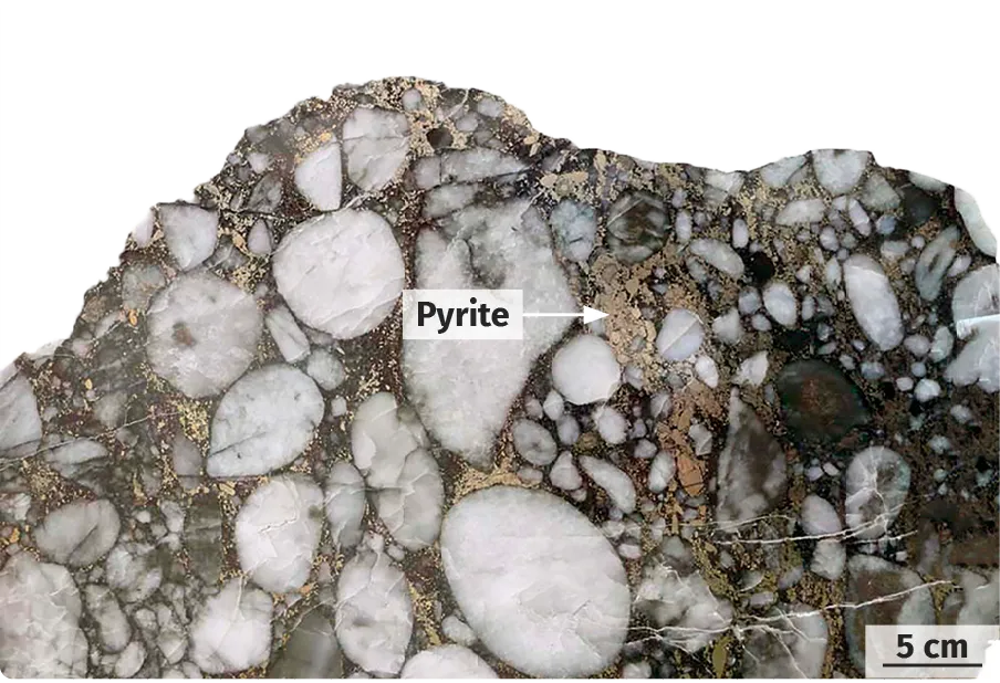 Conglomérat à pyrite provenant du Witwatersrand,
en Afrique du Sud, et daté à 2,9 Ga