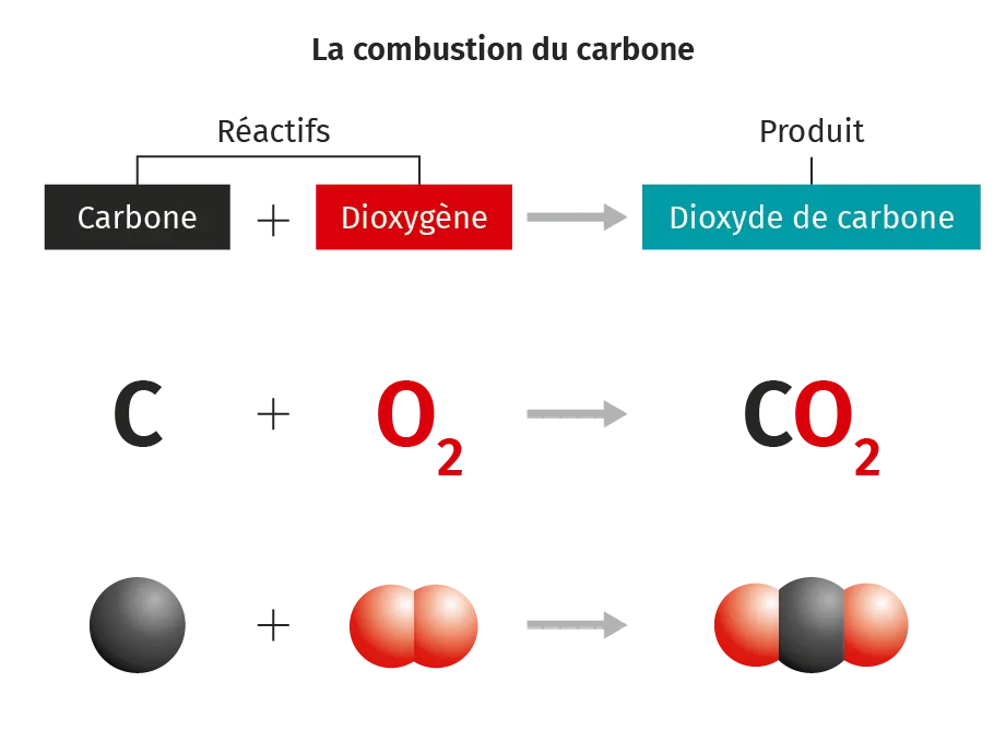 Schéma d'une expérience montrant la nature des échanges gazeux entre une élodée et le milieu dans lequel elle vit