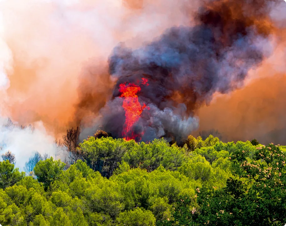 Incendie à Aubais