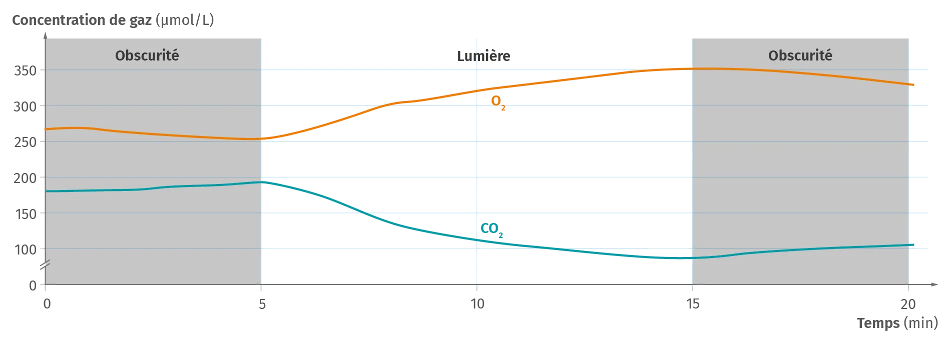 Graphique représentant l'évolution du dioxygène et du dioxyde de carbone dans une suspension d'euglènes à la lumière
ou à l'obscurité