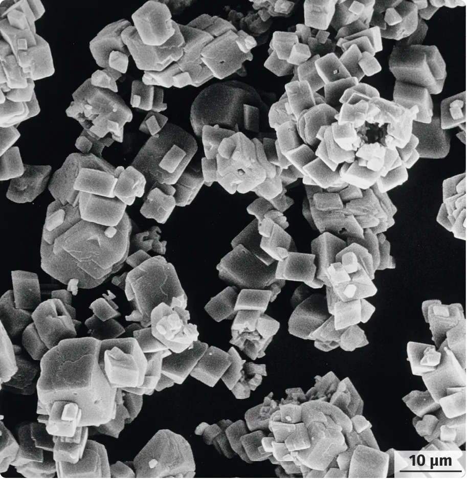 Résultats d'une chromatographie effectuée à partir de
cyanobactéries nostoc (gauche) et d'euglènes (à droite)