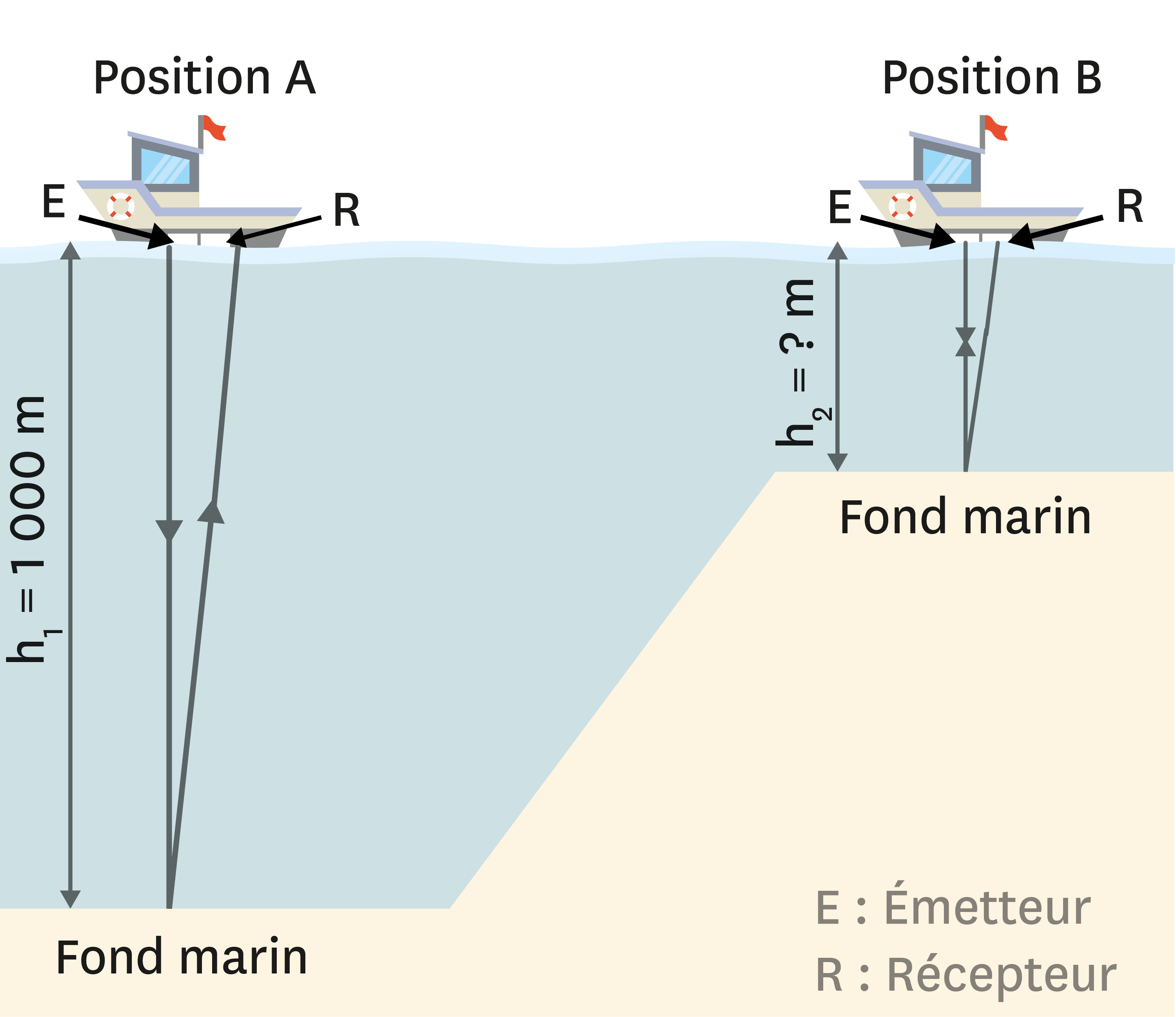 SOund NAvigation and Ranging (SONAR) | Lelivrescolaire.fr