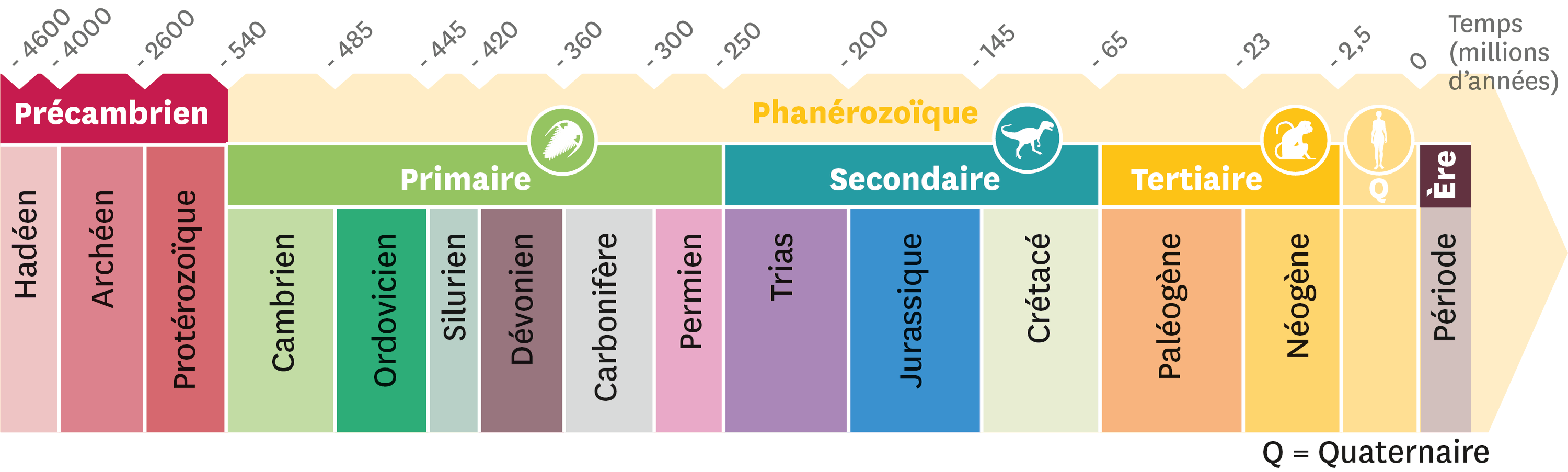 Que Nous Apprend Léchelle Des Temps Géologiques Lelivrescolairefr