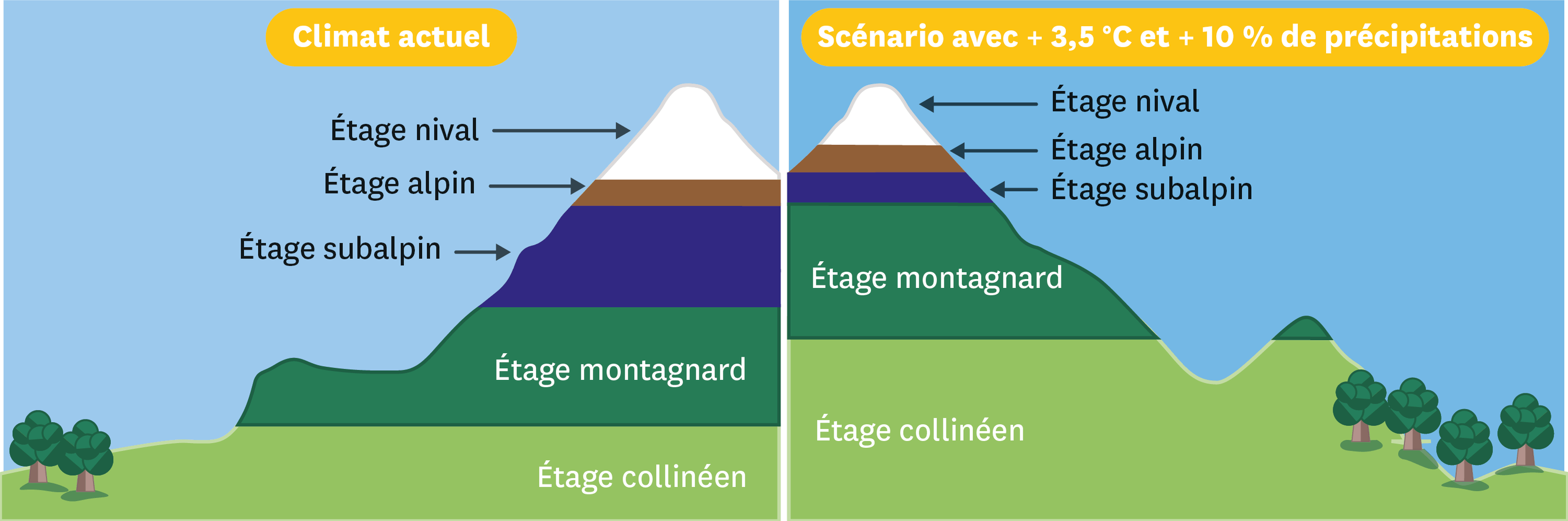 Quel est l’impact du réchauffement climatique sur la biodiversité