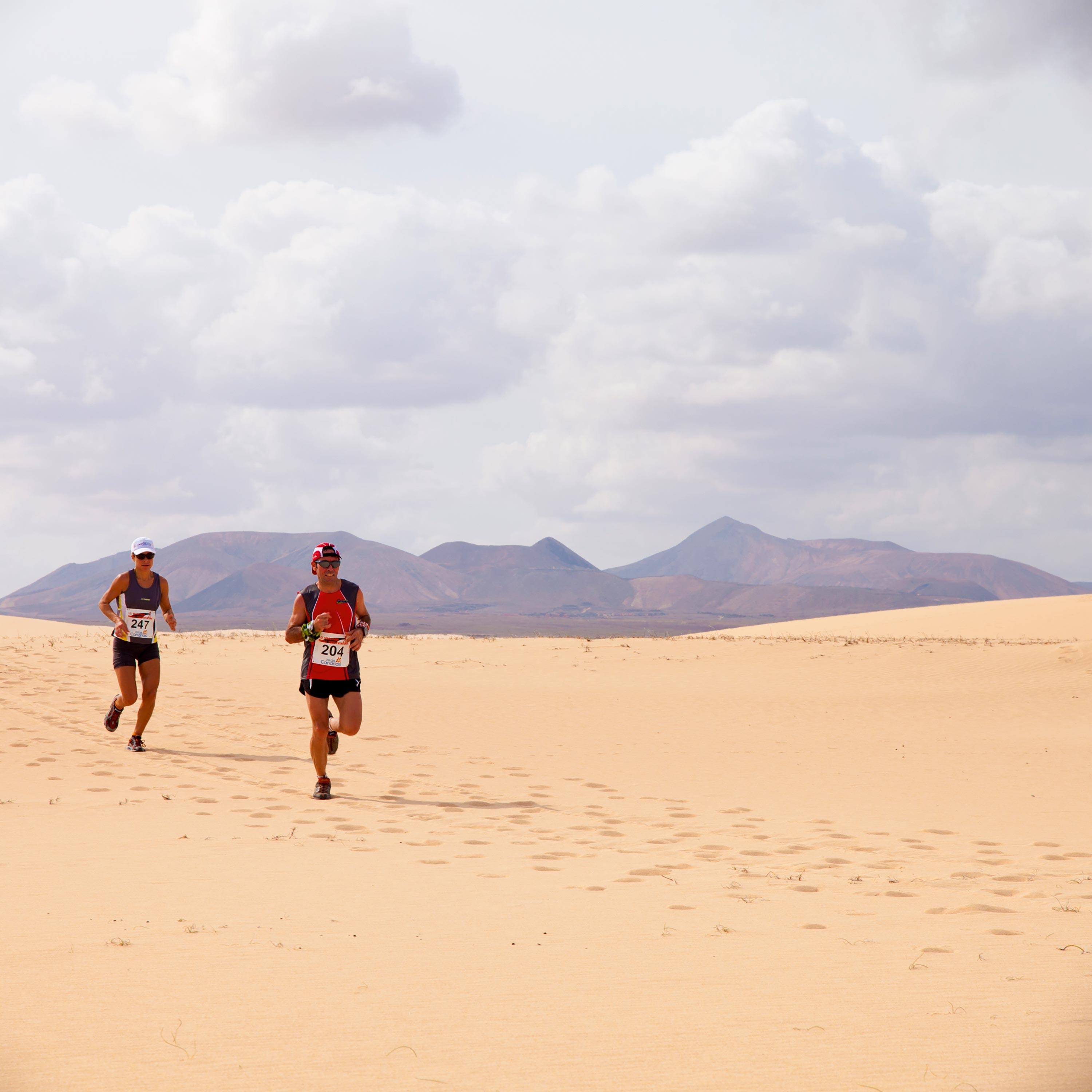<stamp theme='svt-green1'>Doc. 1</stamp> Les coureurs dans les dunes de sable lors du semi-marathon international Fuerteventura, en 2011.