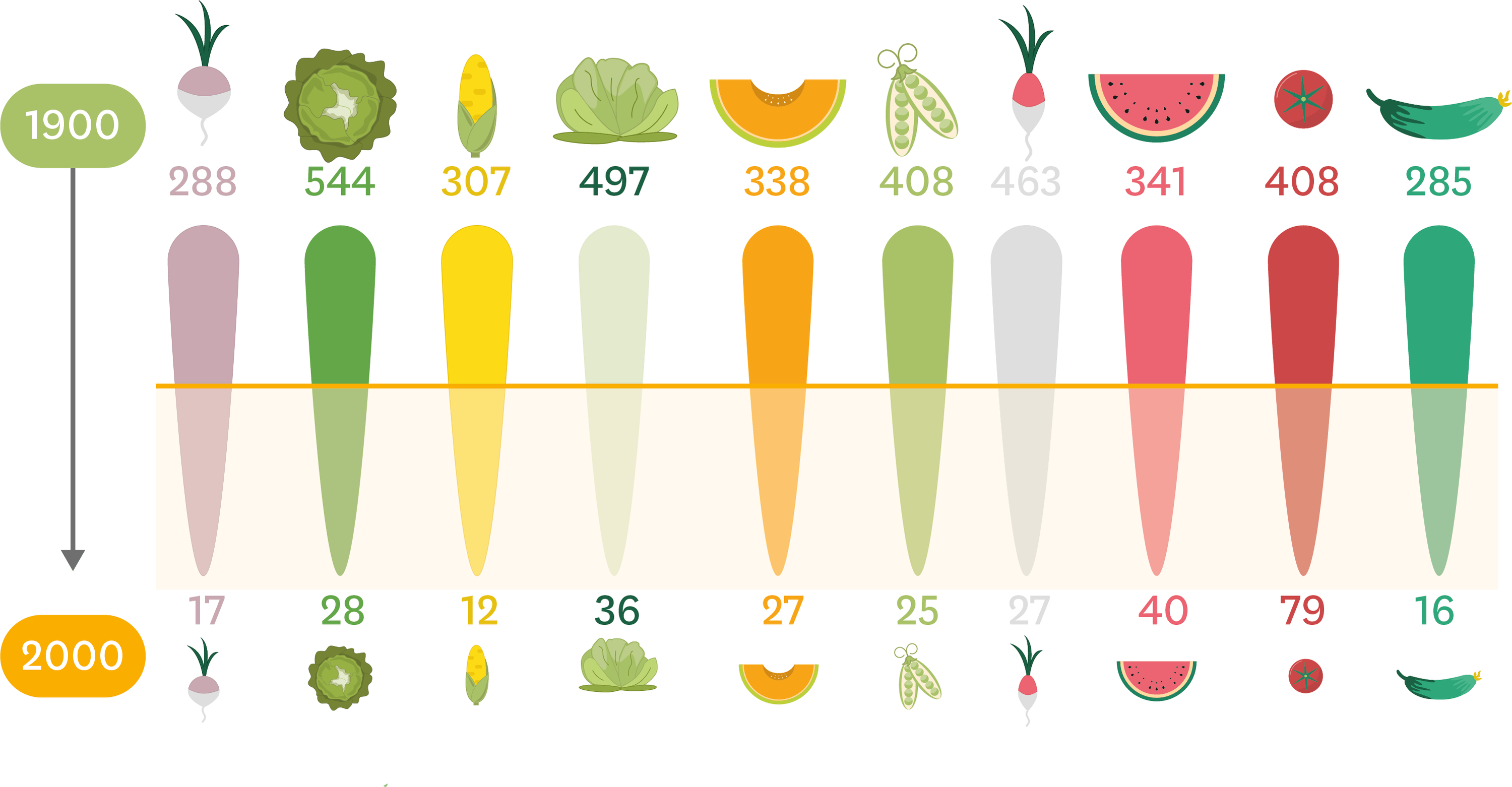 <stamp theme='svt-green1'>Doc. 1</stamp> Le nombre de variétés de fruits et légumes en 1900 et 2000. 