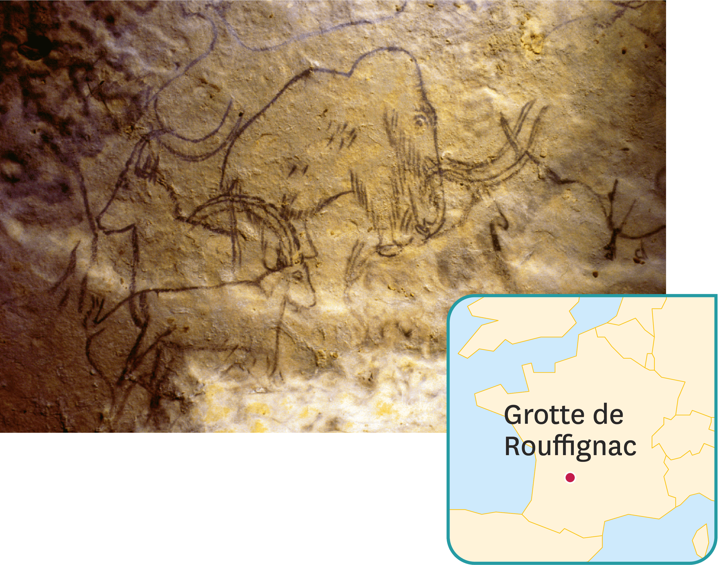 <stamp theme='svt-green1'>Doc. 3</stamp> Des dessins réalisés il y a 13 000 ans dans les grotte des 100 mammouths à Rouffignac (Périgord).