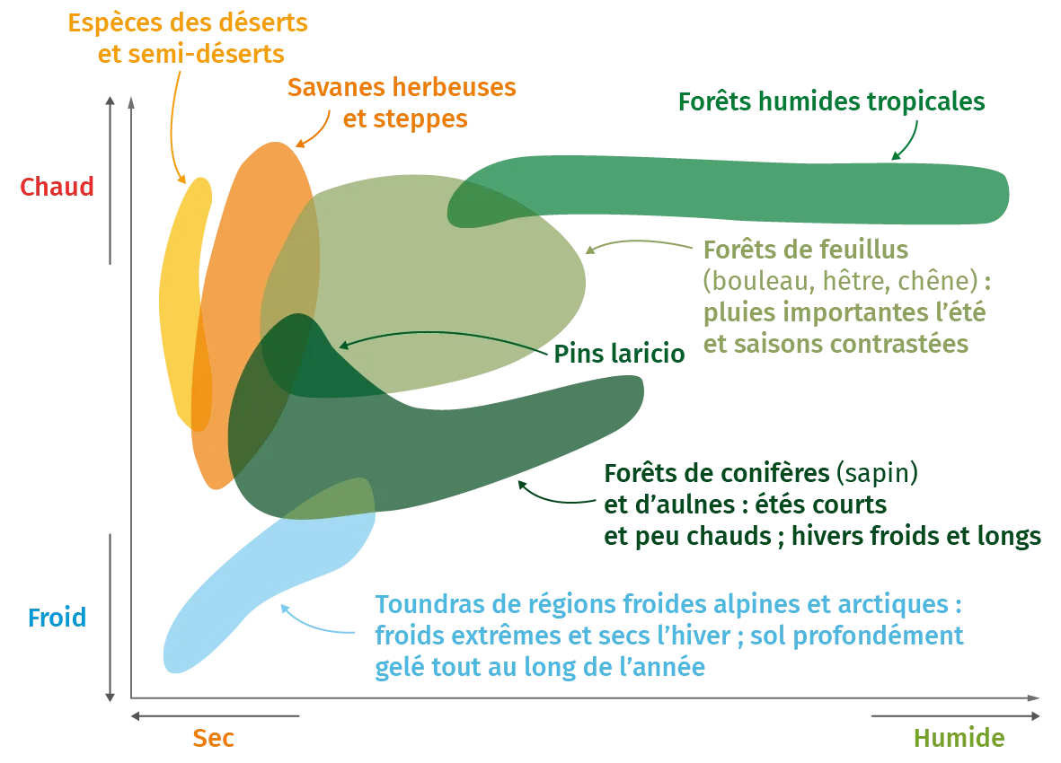 Variation de la température moyenne depuis 1850 à la surface de la Terre