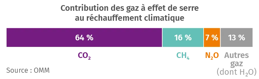 Variation de l'étendue des glaciers