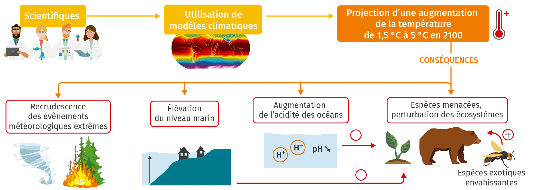 Schéma bilan du Ch. 3