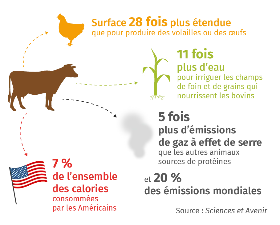 Coût environnemental de l'élevage bovin (2000-2010)