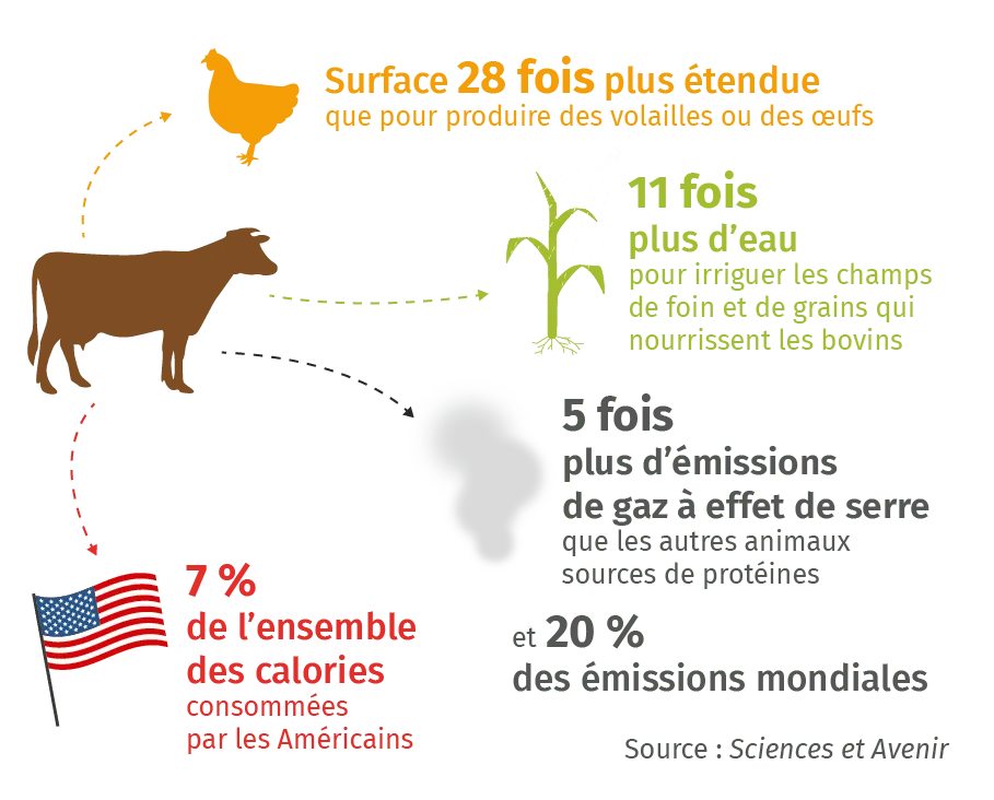 Coût environnemental de l'élevage bovin (2000-2010)