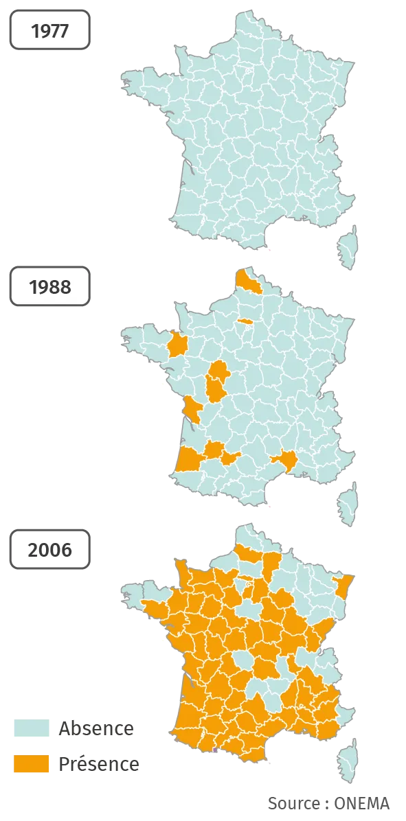 Évolution de la présence de l'écrevisse de Louisiane entre 1977 et 2006