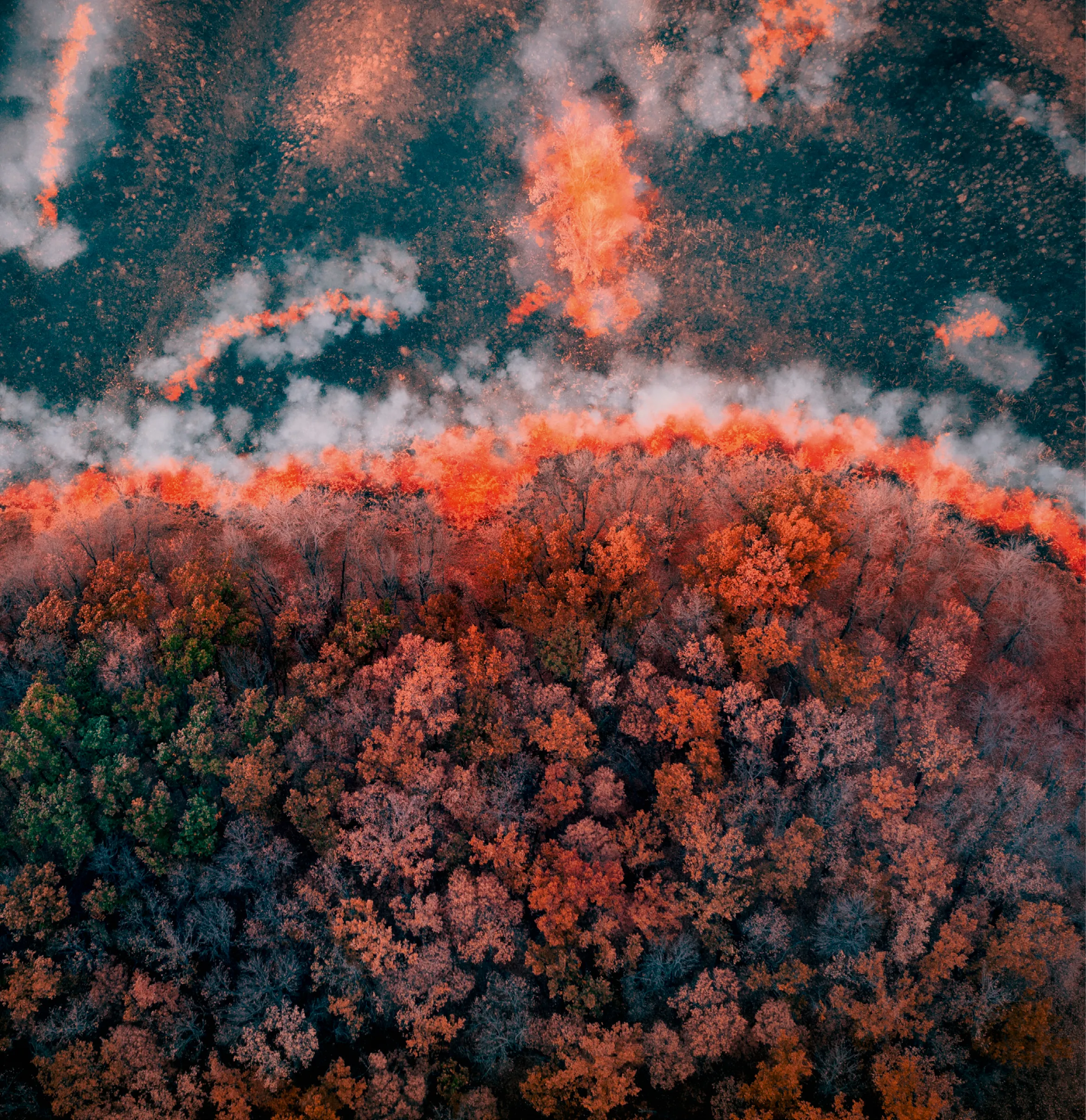 Vue aérienne d'un feu de forêt.